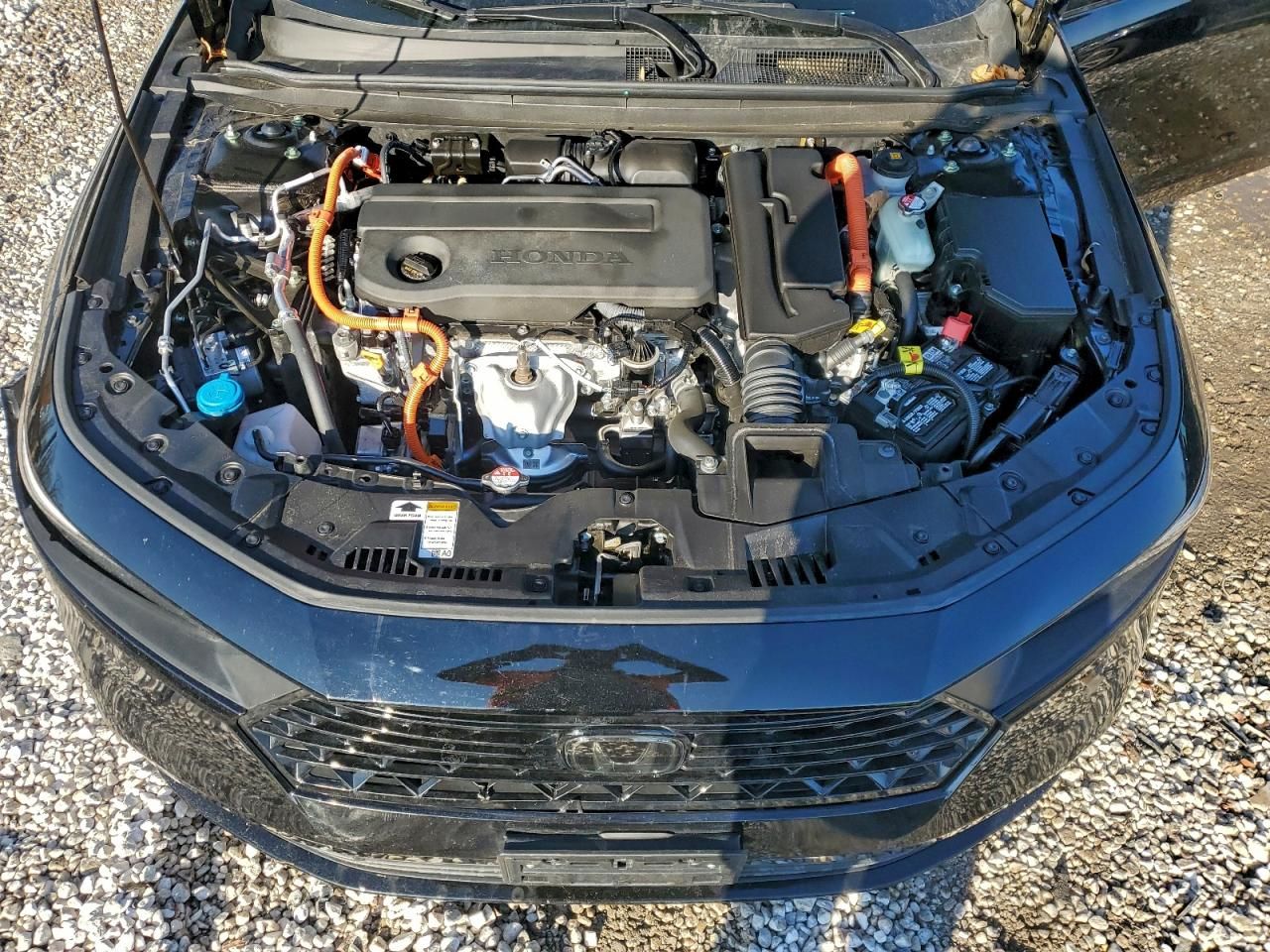 2025 Honda Accord Hybrid exl