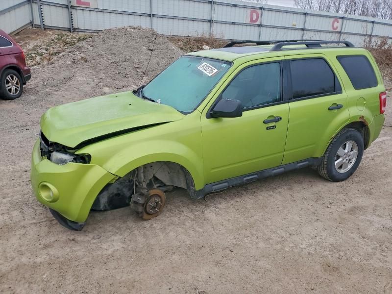 2011 Ford Escape xlt