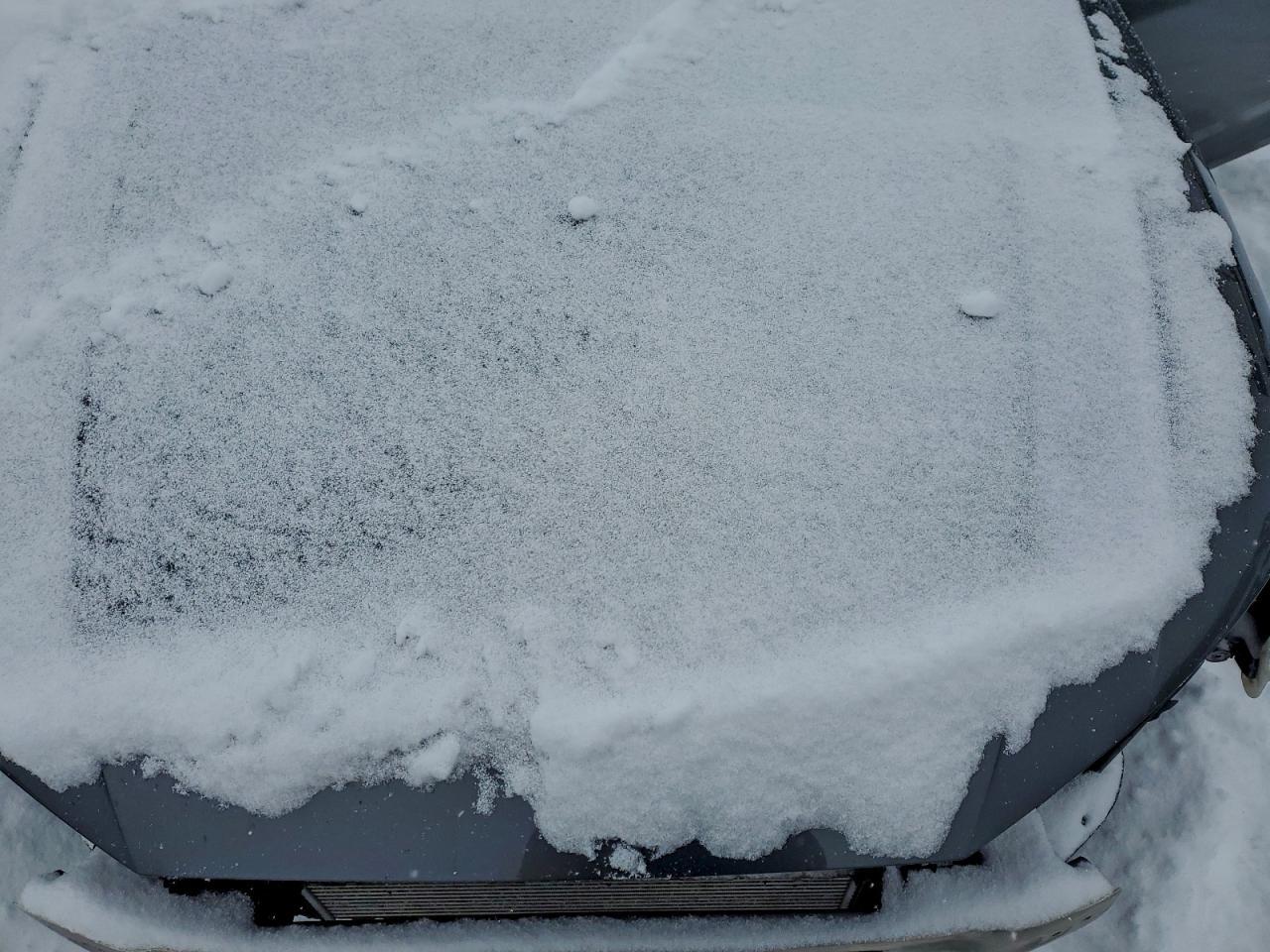 2019 Audi A4 Premium Plus