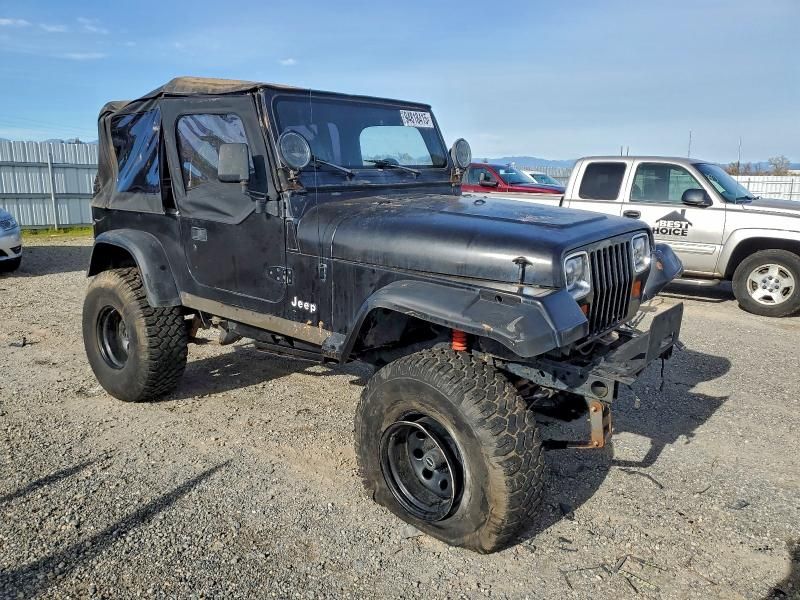 1991 Jeep Wrangler / yj Sahara