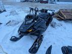 2023 Skidoo Skandic LE 900 ACE