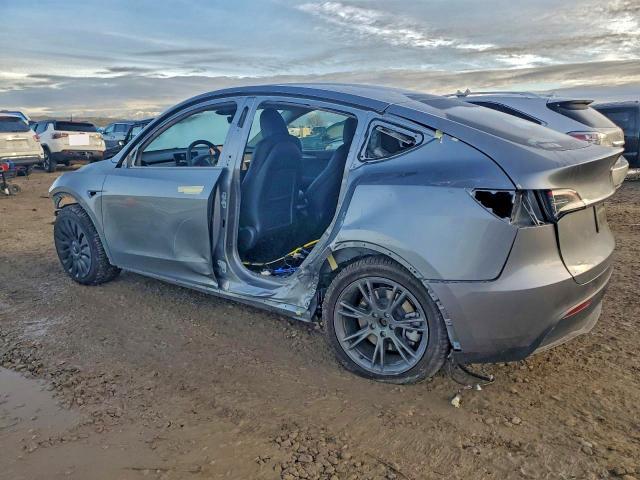 2025 Tesla Model y