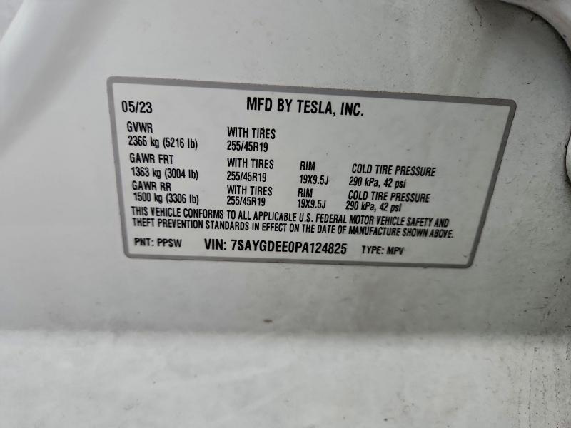 2023 Tesla Model y