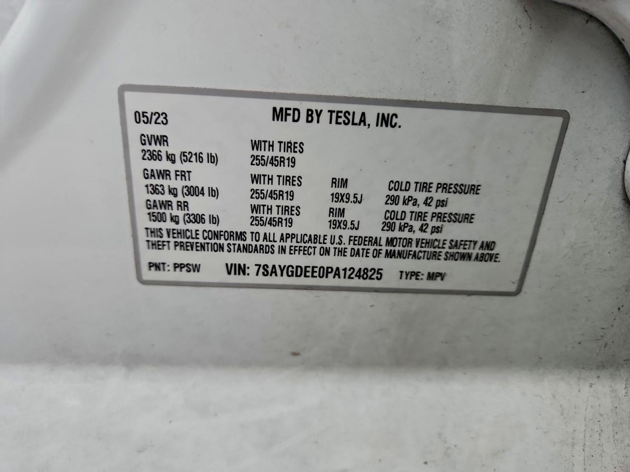 2023 Tesla Model y