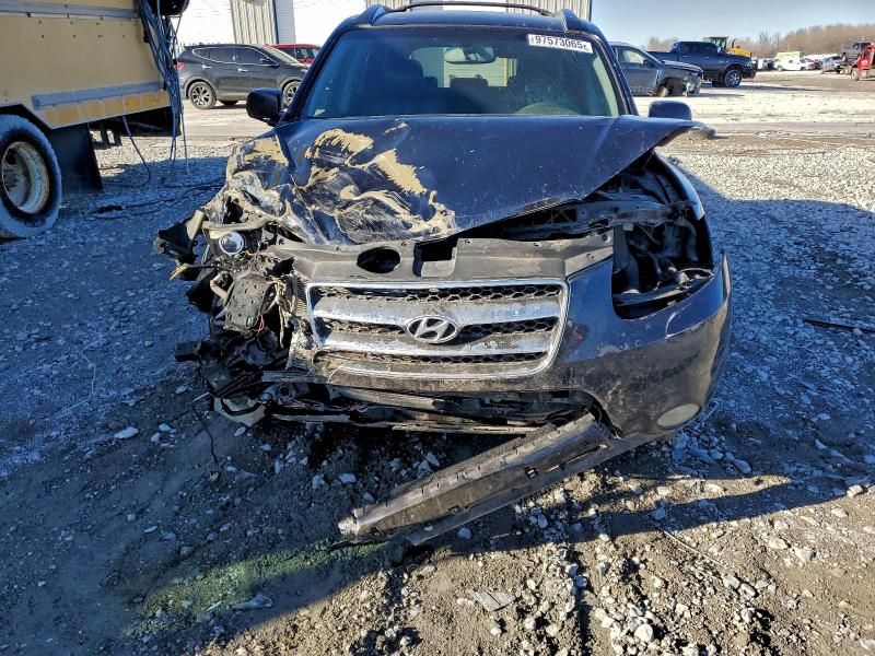 2007 Hyundai Santa fe se