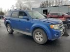 2008 Ford Escape hev