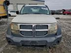 2008 Dodge Nitro sxt