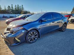 2019 Toyota Corolla l en venta en Bowmanville, ON