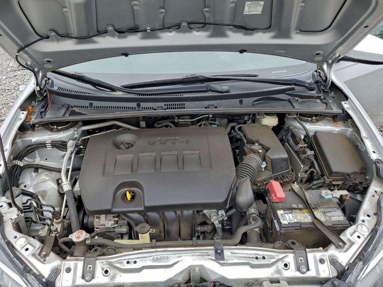 2019 Toyota Corolla l