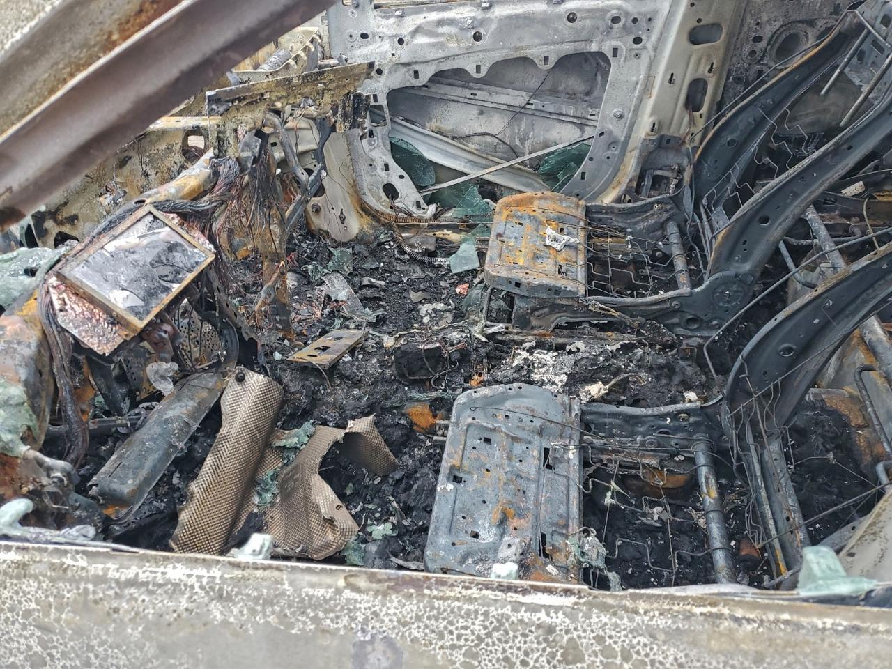 2024 Ford Escape st Line