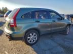 2007 Honda Cr-v ex