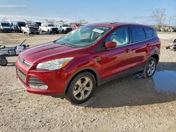 Ford Escape salvage cars for sale: 2014 Ford Escape se