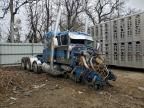 2011 Peterbilt 389 Semi Truck