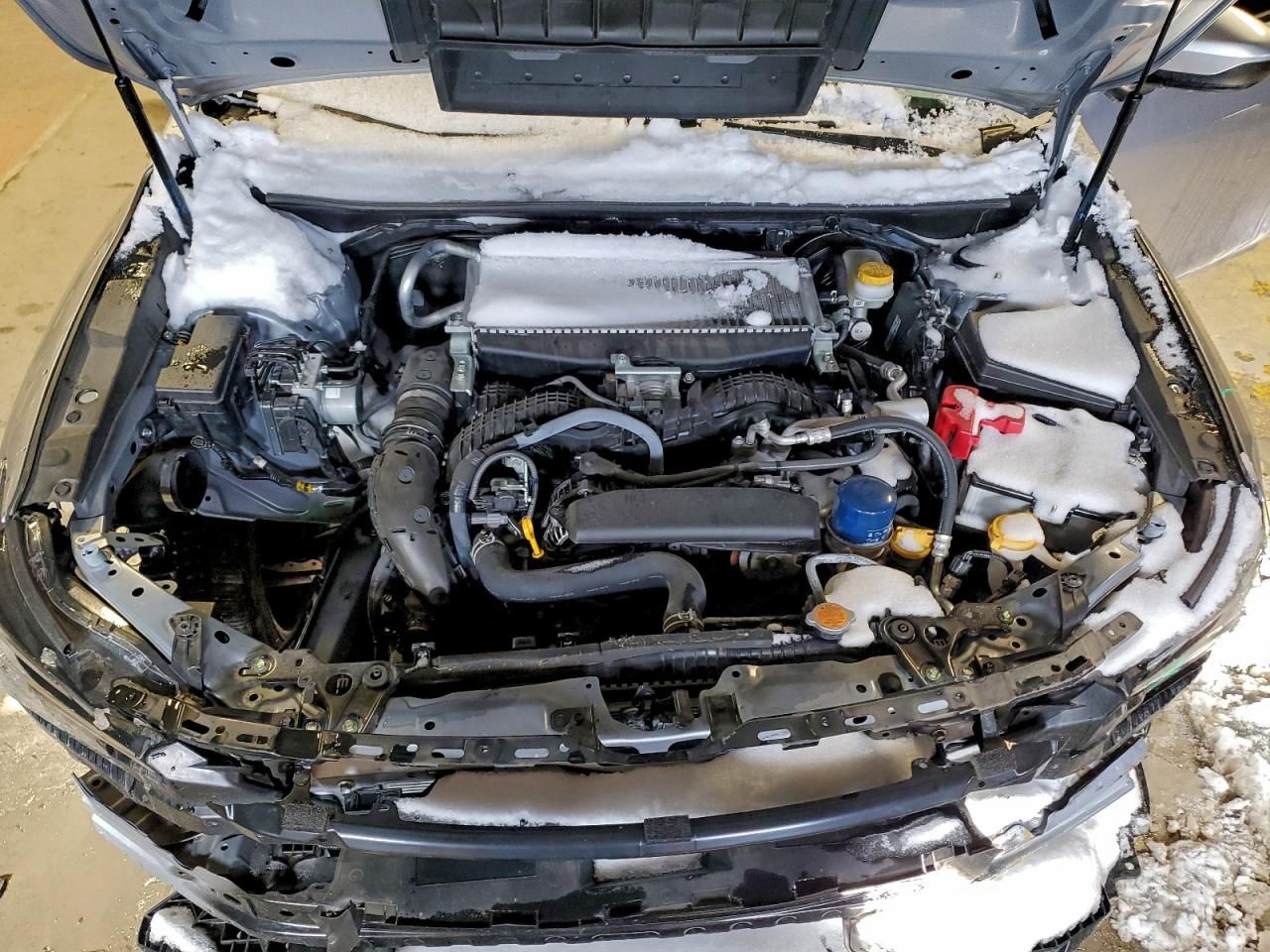 2023 Subaru Wrx Premium