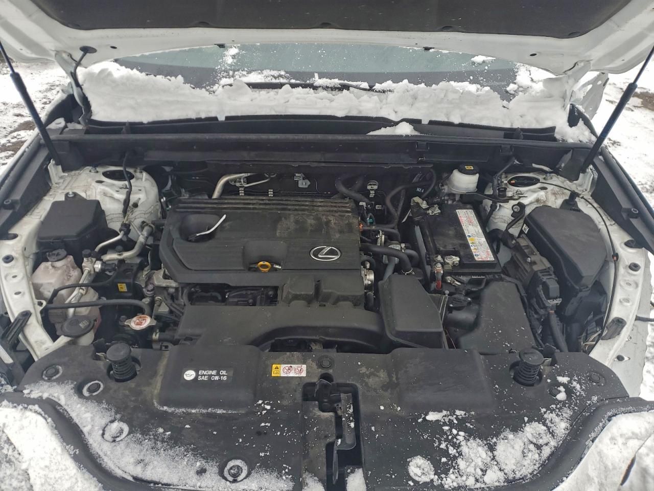 2024 Lexus Nx 250 Premium