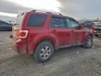 2010 Ford Escape Limited