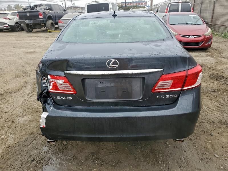 2010 Lexus ES