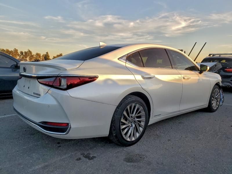 2019 Lexus Es 300h