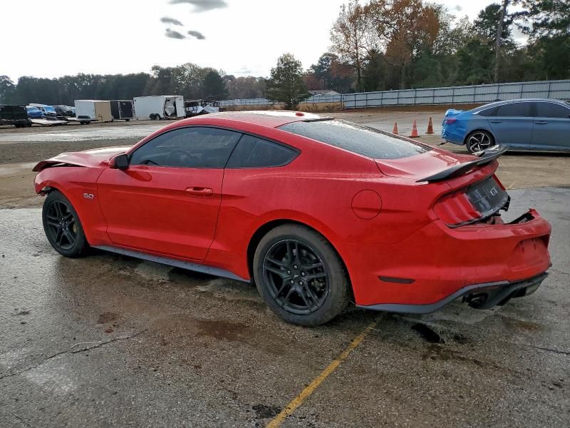 2019 Ford Mustang gt