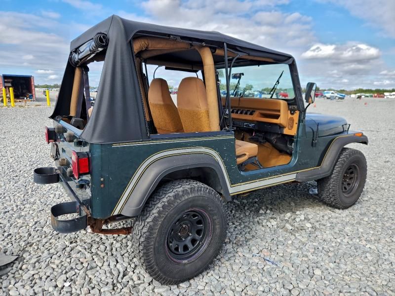 1993 Jeep Wrangler / yj