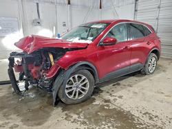 2020 Ford Escape se for sale in Lexington, KY