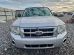 2012 Ford Escape xls