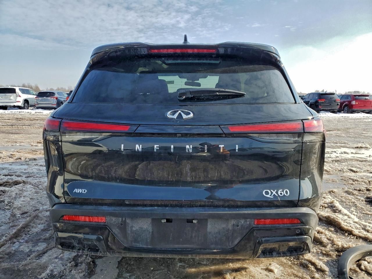 2024 Infiniti Qx60 Pure