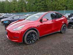 Tesla Model y salvage cars for sale: 2021 Tesla Model y