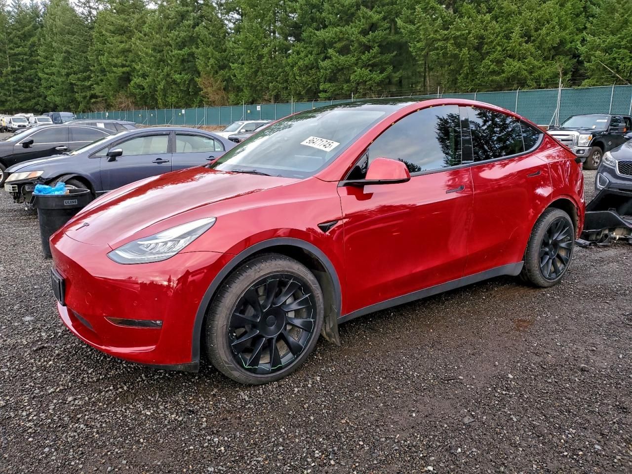 2021 Tesla Model y