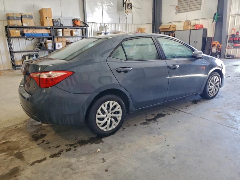 2019 Toyota Corolla l