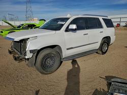 Cadillac salvage cars for sale: 2017 Cadillac Escalade Luxury