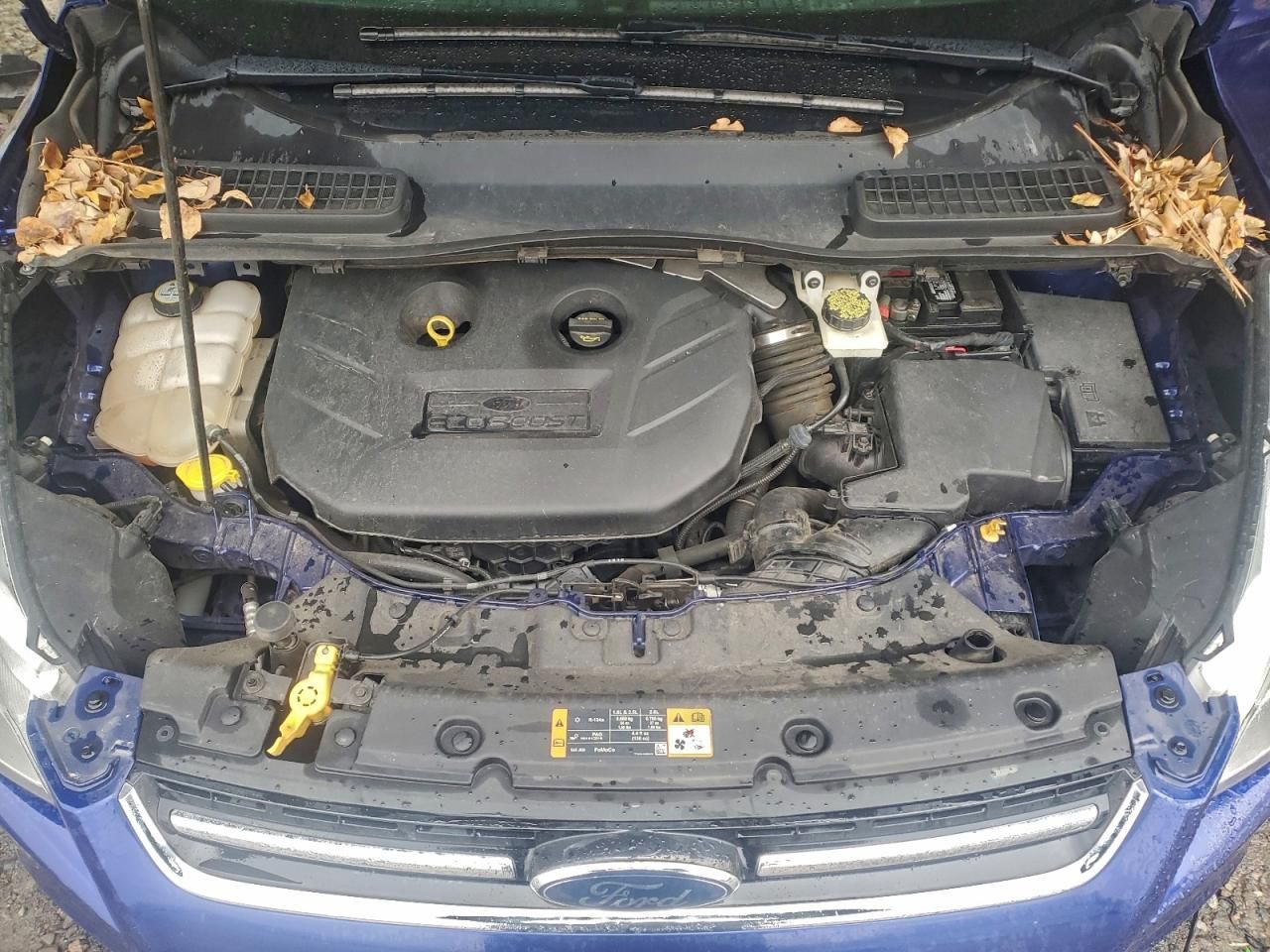 2013 Ford Escape sel