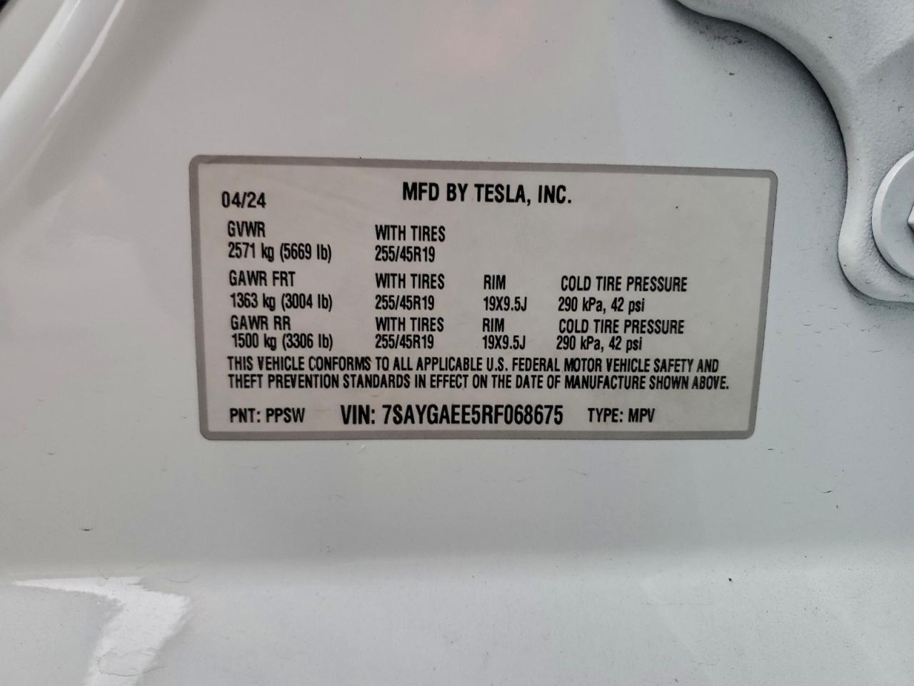 2024 Tesla Model y