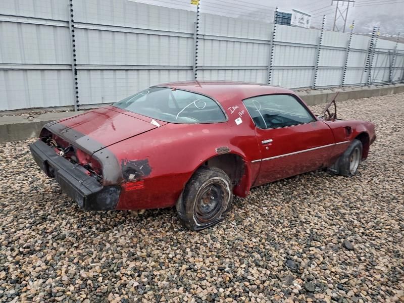 1981 Pontiac Firebird Trans am