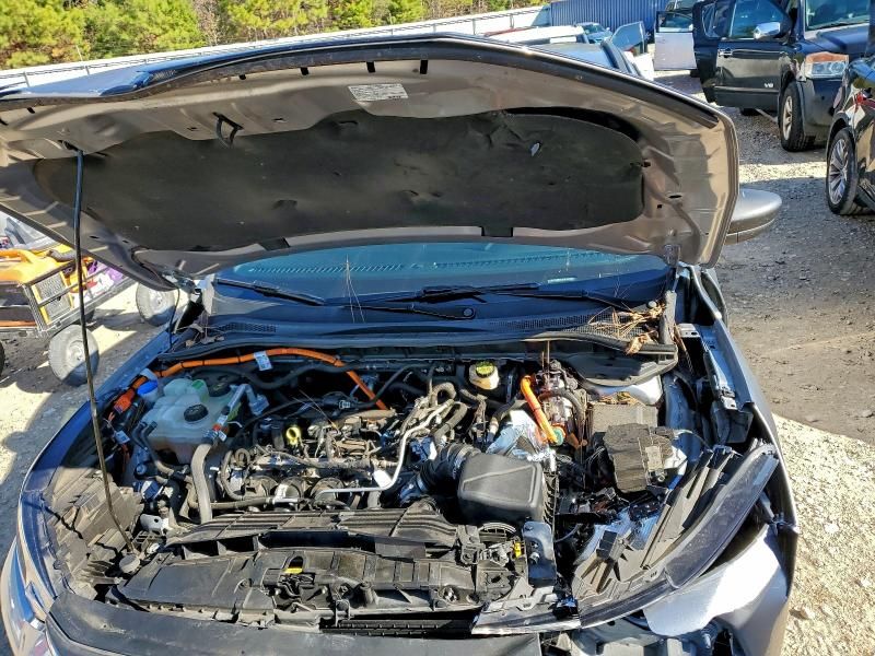 2023 Ford Escape st Line