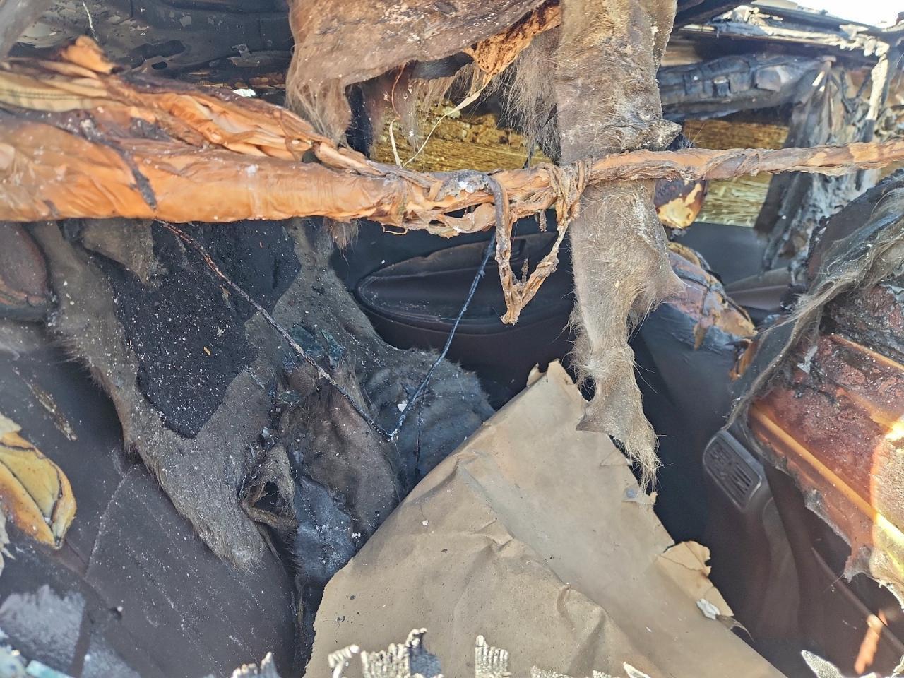 2017 Infiniti Qx50 Base