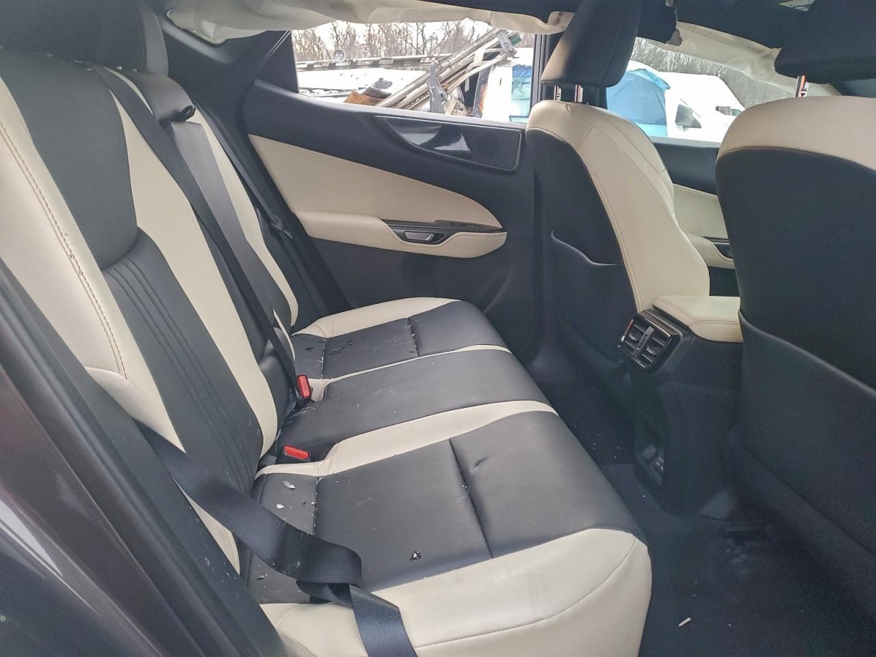 2024 Lexus Nx 350 Base