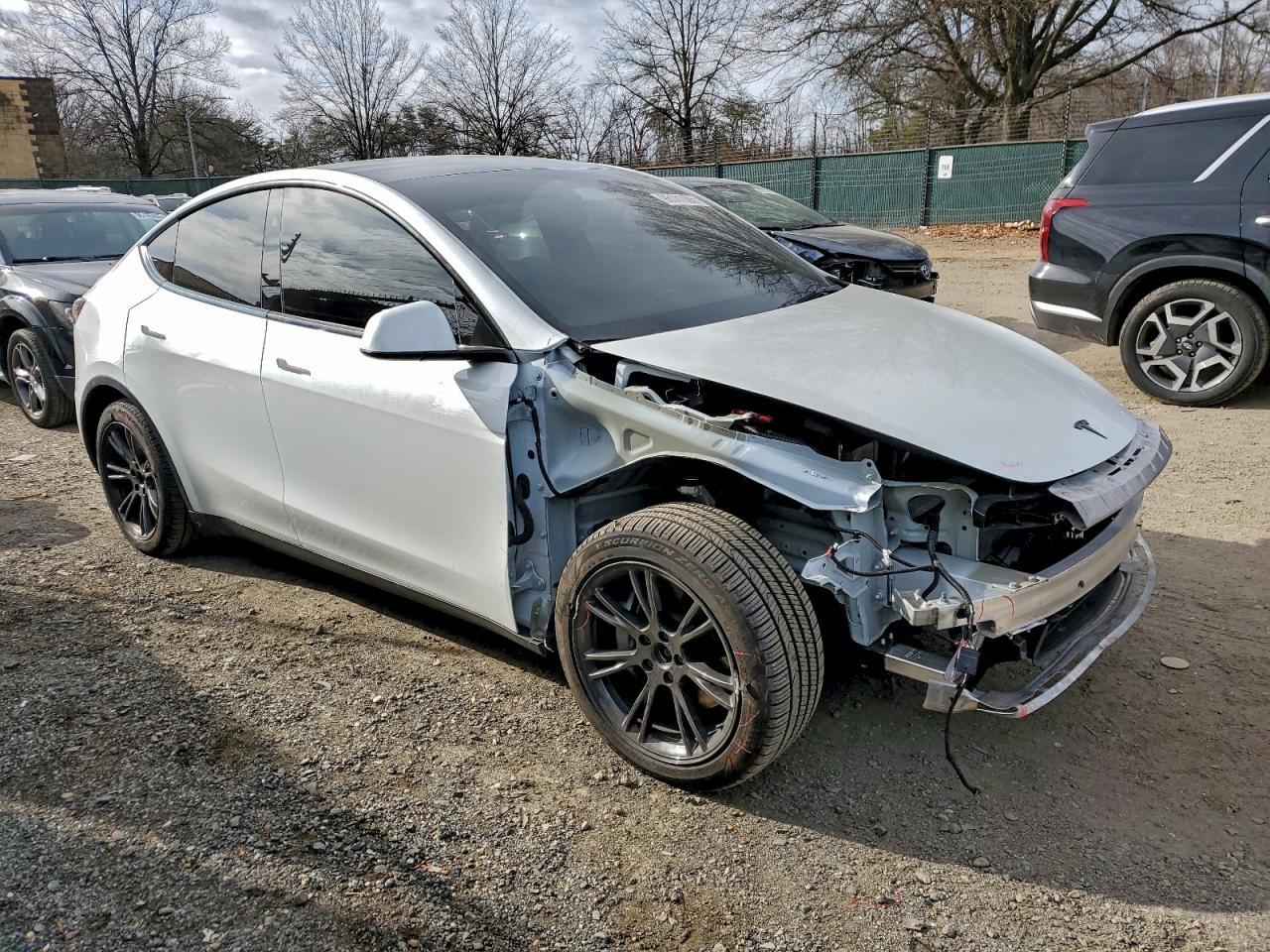 2025 Tesla Model y