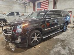 Cadillac salvage cars for sale: 2016 Cadillac Escalade esv Premium