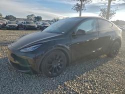 Tesla salvage cars for sale: 2023 Tesla Model y
