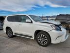 2021 Lexus Gx 460 Luxury