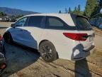 2023 Honda Odyssey exl