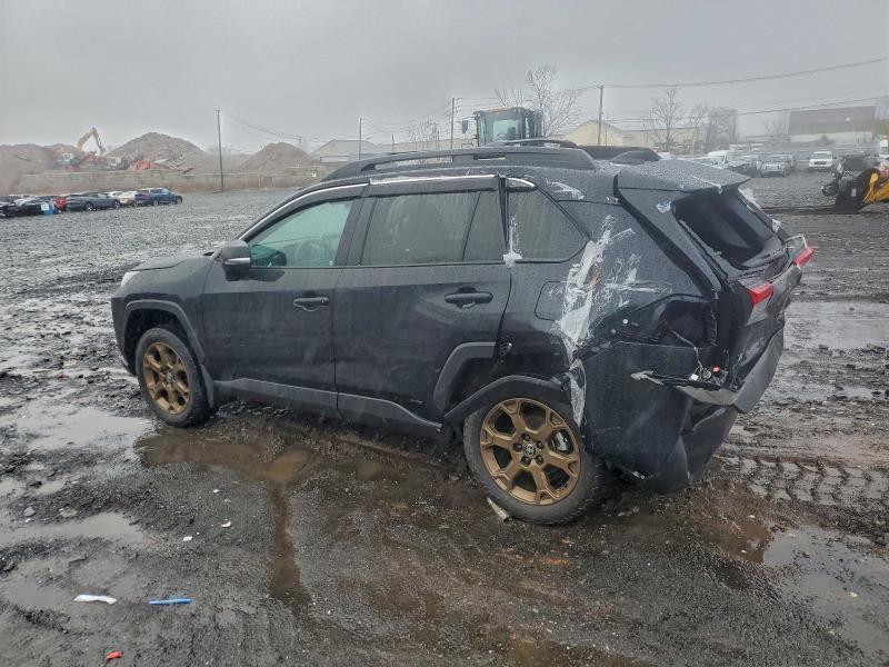 2024 Toyota Rav4 Woodland Edition