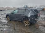 2024 Toyota Rav4 Woodland Edition