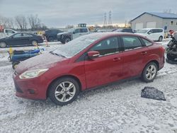 Ford Focus salvage cars for sale: 2013 Ford Focus se