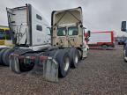 2019 Freightliner Cascadia 125 Semi Truck