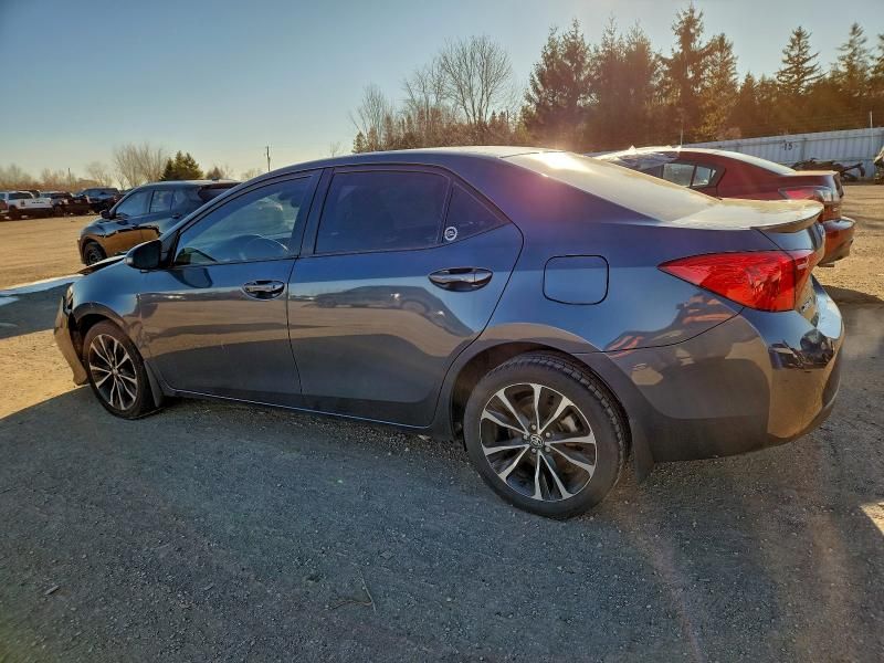 2019 Toyota Corolla l