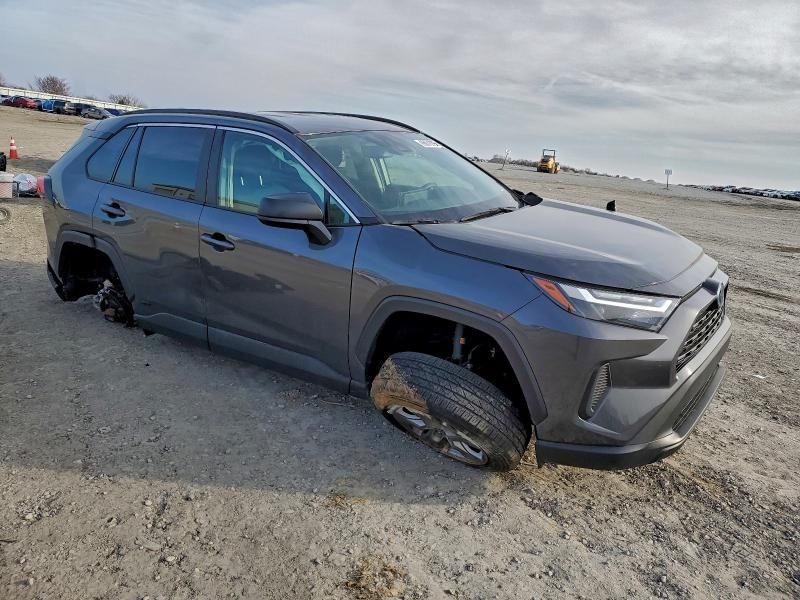 2024 Toyota Rav4 le