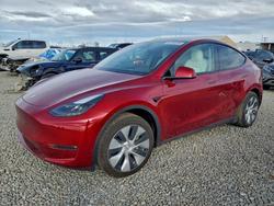 2024 Tesla Model y for sale in Brighton, CO