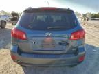 2007 Hyundai Santa fe se